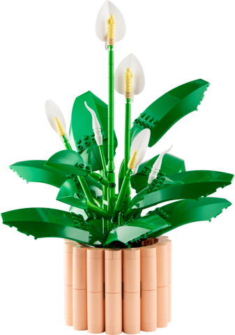 LEGO Botanicals Peace Lily 11504 - Image 2