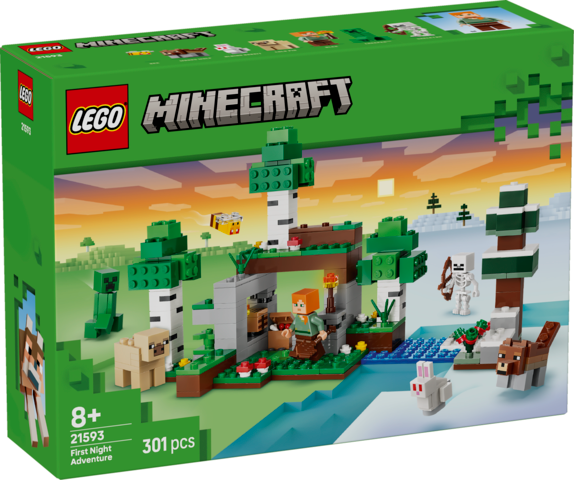 LEGO Minecraft First Night Adventure 21593