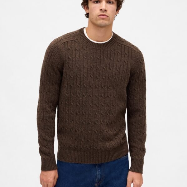 GAP Knit Merino Men's Sweater – Brown